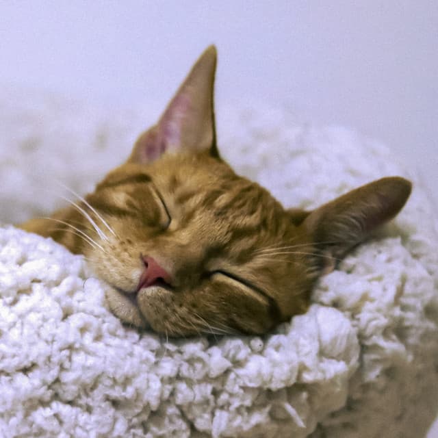 1st Melodic Noise Machine: Hiss & Hum - White Noise Therapy