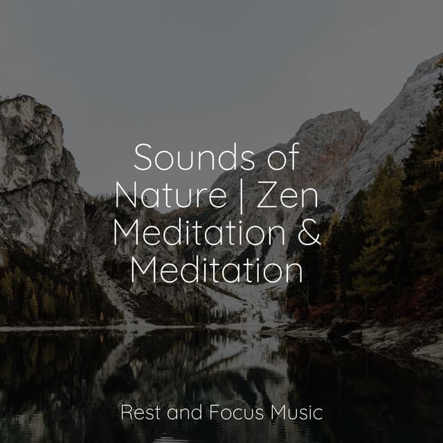 Sounds of Nature | Zen Meditation & Meditation - Deep Focus