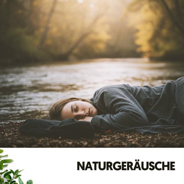Naturgeräusche: Ruhige Duschen der Gelassenheit - Cat Music Therapy