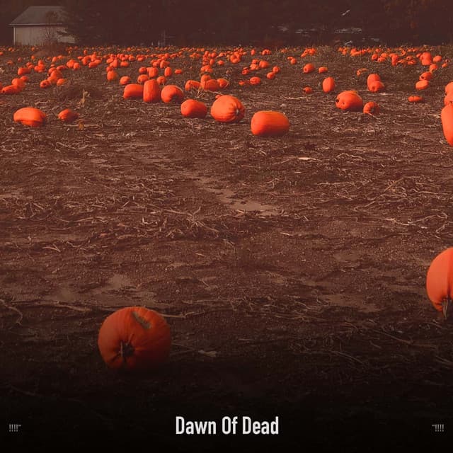 !!!!" Dawn Of Dead "!!!! - Halloween Music