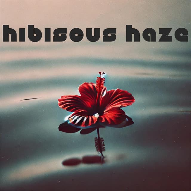 Hibiscus Haze - Bossa Nova Lounge Club