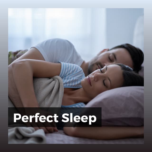 Perfect Sleep - Deep Sleep Relaxation