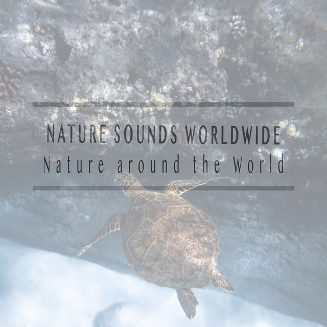 Nature Around the World - Nature Sounds Worldwide