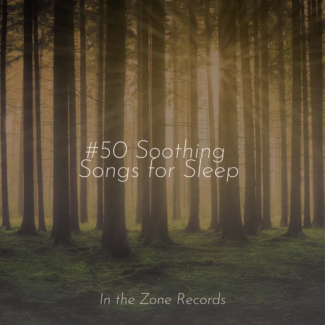#50 Soothing Songs for Sleep - Guided Meditation
