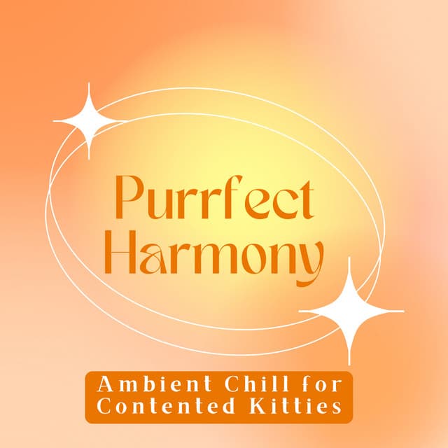 Purrfect Harmony: Ambient Chill for Contented Kitties - Playlist for Early Morning Chill Out