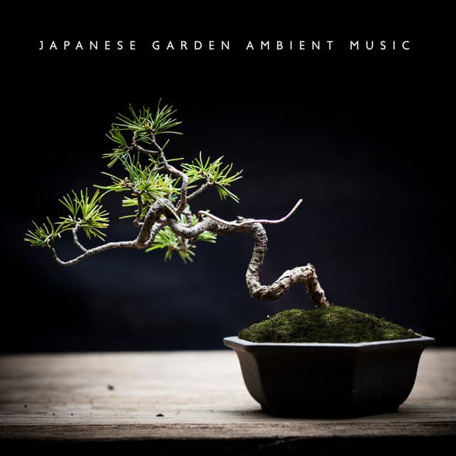 Japanese Garden Ambient Music - George Woode