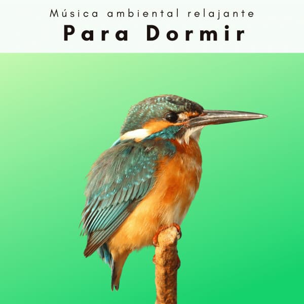 2 0 2 2 Para Dormir - Música ambiental relajante