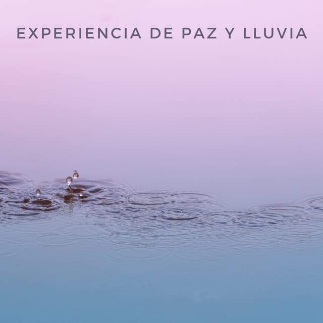 Experiencia De Paz Y Lluvia - Mar de ruido