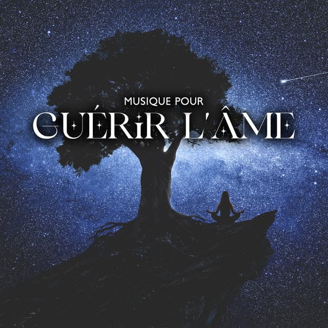 Musique pour guérir l'âme - Chansons Reiki et musique pour la méditation - Académie de bien-être