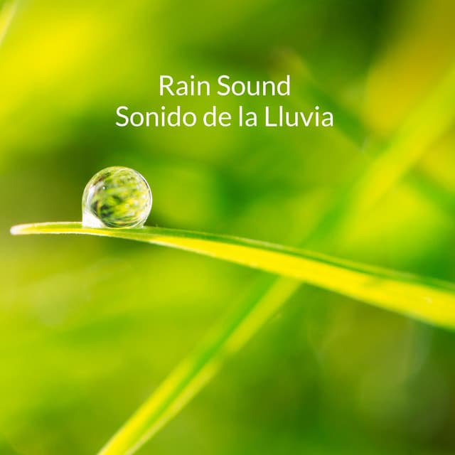 Rain Sounds - Sonido de la Lluvia - Rain Sound
