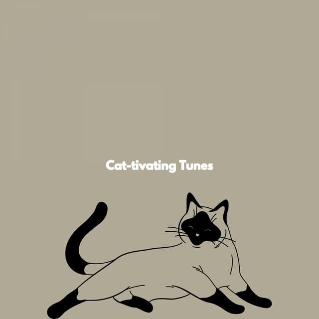 Cat-tivating Tunes - Latin Guitar Trio