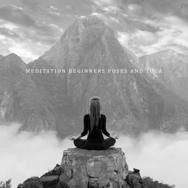 Meditation Beginners Poses and Yoga Workout for Healthy Life: Relaxing New Age Music Therapy - Yoga Postures Masters