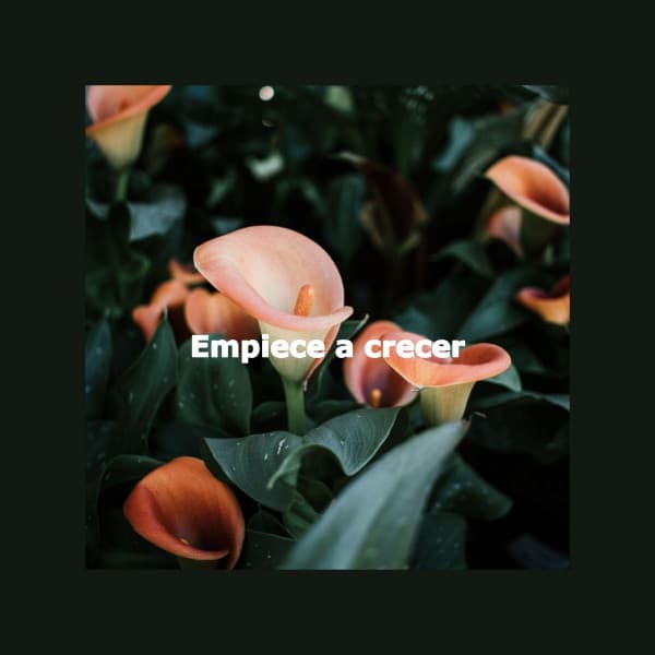 Empiece a crecer - Musica de Jazz para Hoteles