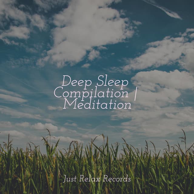 Deep Sleep Compilation | Meditation - Meditar Profundamente