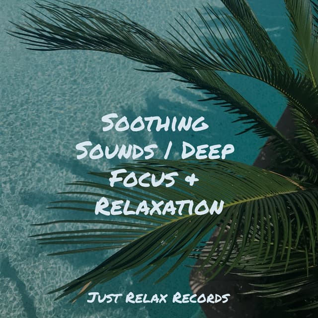 Soothing Sounds | Deep Focus & Relaxation - Relaxation