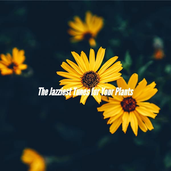 The Jazziest Tunes for Your Plants - Soft Romantic Jazz
