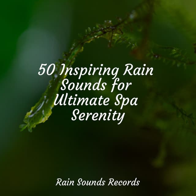 50 Inspiring Rain Sounds for Ultimate Spa Serenity - Lucid Dreaming Music