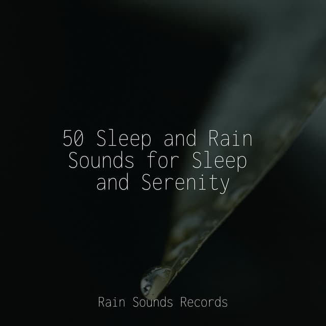 50 Sleep and Rain Sounds for Sleep and Serenity - Weather Factory