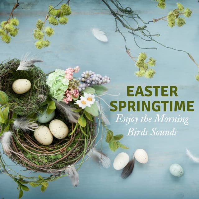Easter Springtime - Enjoy the Morning Birds Sounds - Calm Music Zone