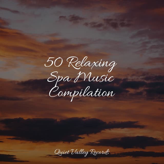 50 Relaxing Spa Music Compilation - Asian Zen Spa Music Meditation