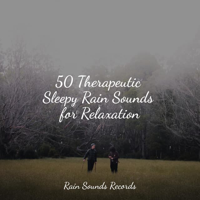 50 Therapeutic Sleepy Rain Sounds for Relaxation - Binaural Beats Brainwave Entrainment