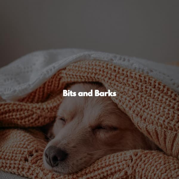 Bits and Barks - Musica Relajante Clásico