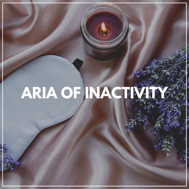 Aria of Inactivity - Calm Music For Sleeping