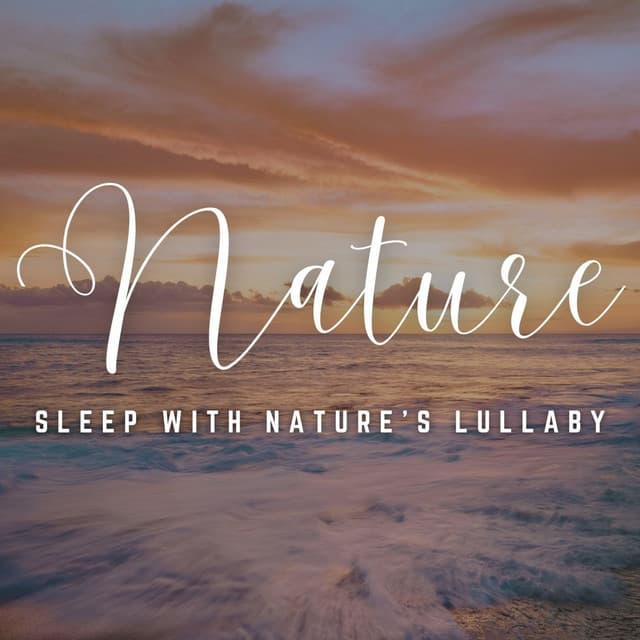 Moonlit Slumber: Sleep with Nature's Lullaby - Winds Of Minds