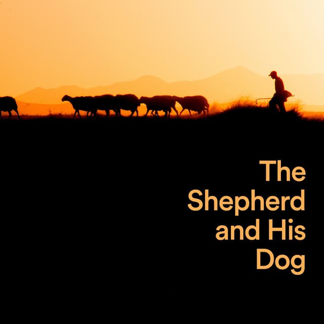 The Shepherd and His Dog - Dog Sleep Dreams