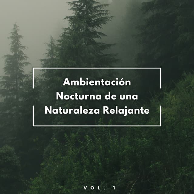Ambientación Nocturna De Una Naturaleza Relajante Vol. 1 - Últimos sonidos de la naturaleza