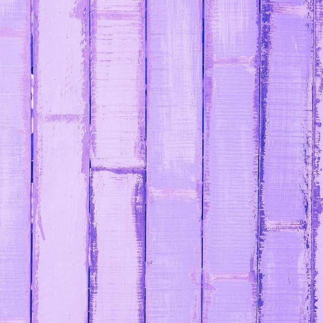 Bossa Guitars - Bgm for Brave Passion - Fine Dining Music