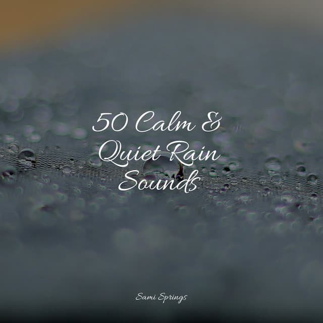 50 Calm & Quiet Rain Sounds - Restaurant Background Music