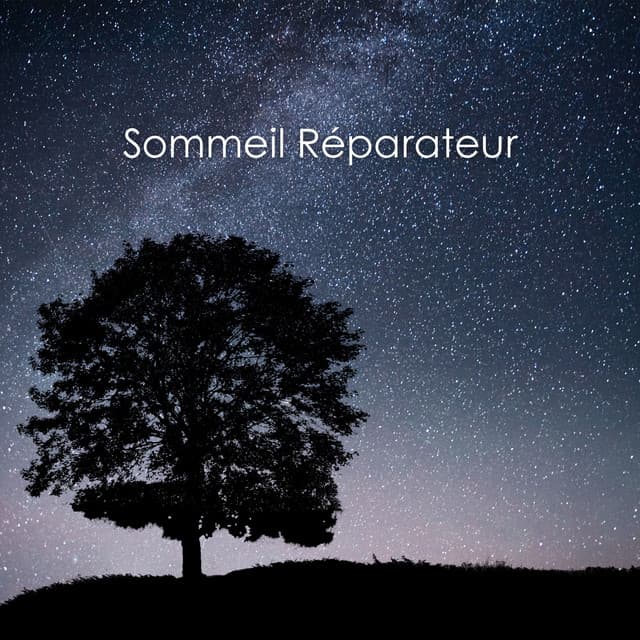 Sommeil Réparateur: L'Art du Repos en Harmonie Hz - Hz Sommeil Hypnose