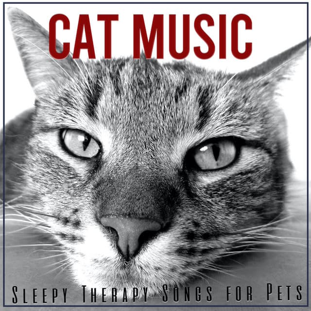 Cat Music: Sleepy Therapy Songs for Pets - Cat Music