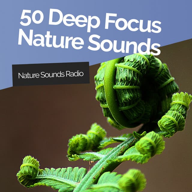 50 Deep Focus Nature Sounds - Nature Sounds Radio