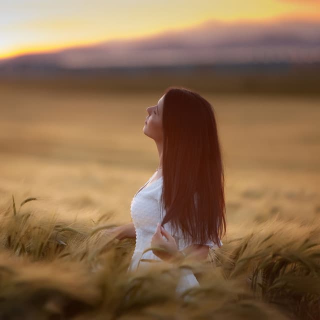 Jazz Piano Serenity: Unwinding and Relaxation Ambience - Chill Jazz Playlist