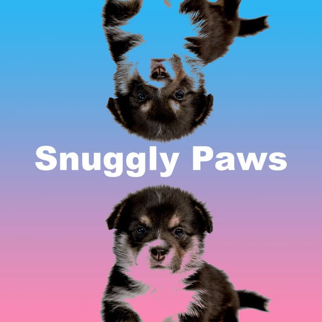 Snuggly Paws - Dogs Music Therapy