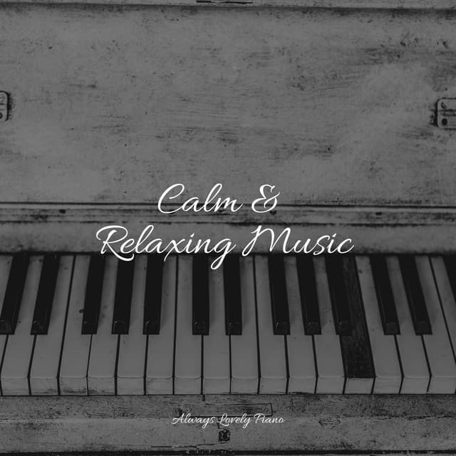 50 Piano Pieces for Ultimate Relaxation and Focused Work - Piano Soul