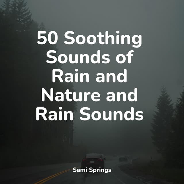 50 Comforting Rain Sounds - Rain