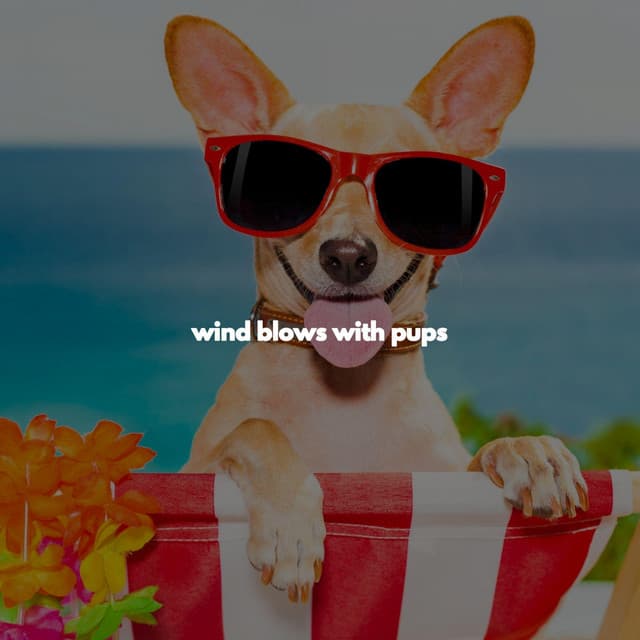 wind blows with pups - Light Jazz Coffee House