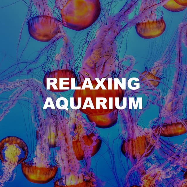 Relaxing Aquarium - Relaxing Aquarium