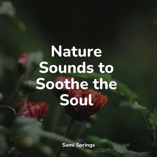 Nature Sounds to Soothe the Soul - Spa Zen