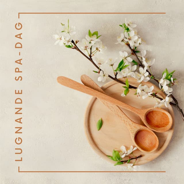 Lugnande spa-dag: Musik för ryggmassage och fotmassage hemma - Lugn spa universum
