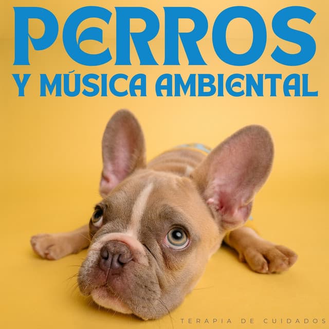 Perros Y Música Ambiental: Terapia De Cuidados - Descansar Musica
