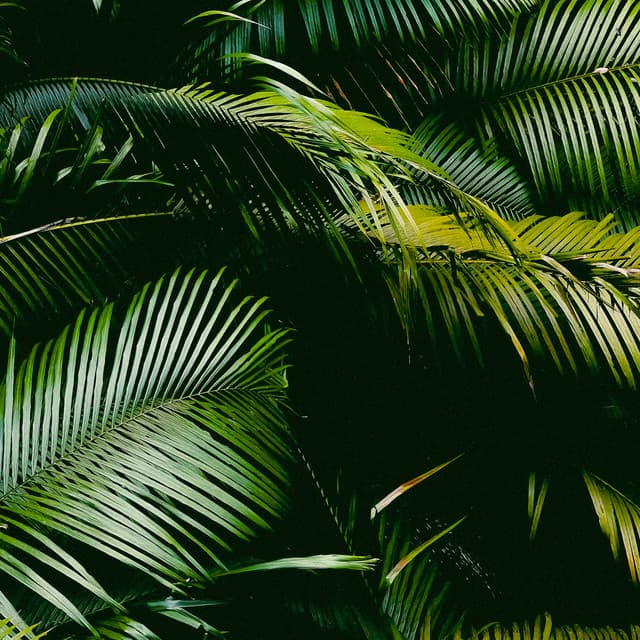 10 AM Woodlands: Journey Through The Wild - Baltic Nature Sounds