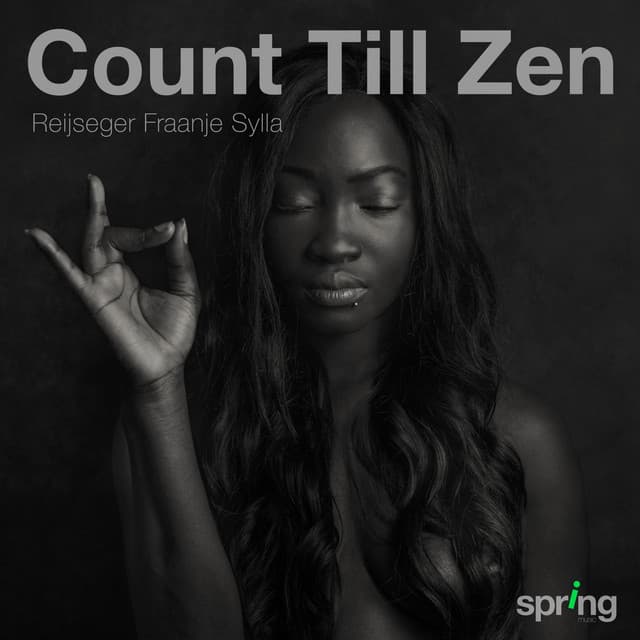 Count Till Zen - Ernst Reijseger