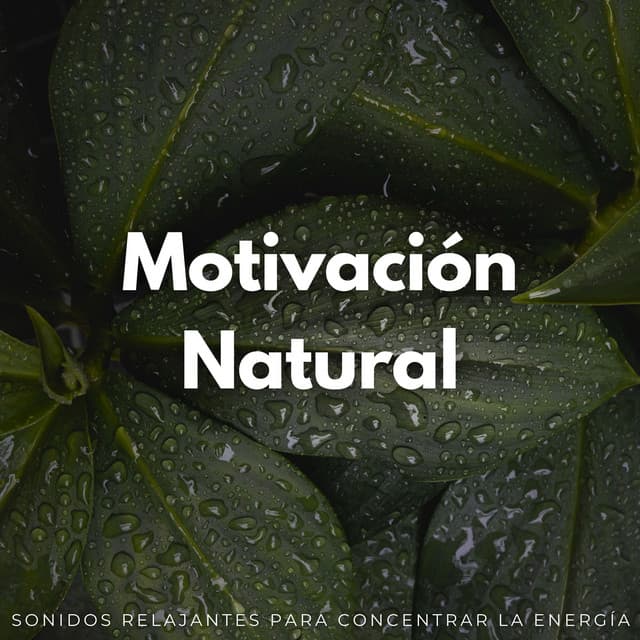 Motivación Natural: Sonidos Relajantes Para Concentrar La Energía - Naturalis