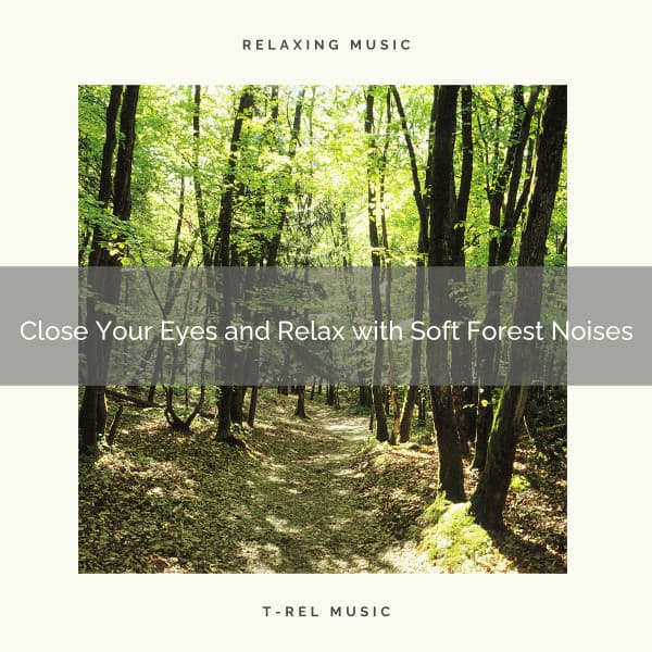 2021 New: Close Your Eyes and Relax with Soft Forest Noises - Sleep Music System