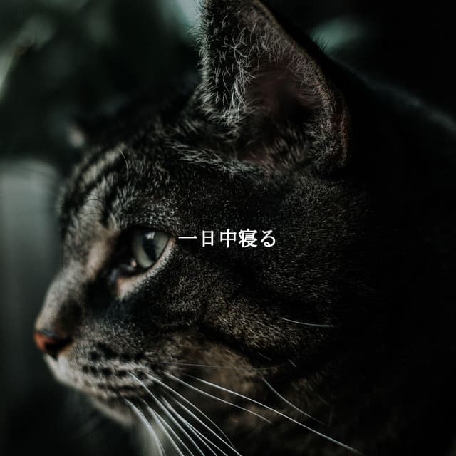 一日中寝る - Desayuno Jazz Ambiente