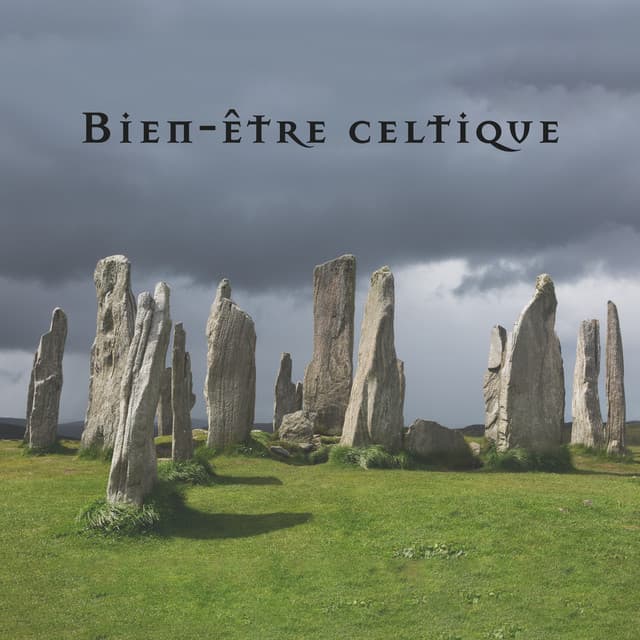 Bien-être celtique - Académie de Bien-Être